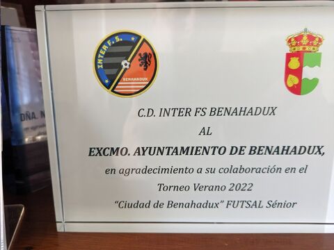 Imagen 6