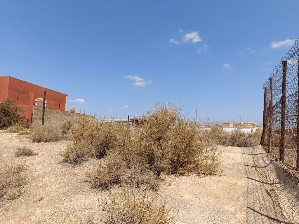 Solar junto a Plaza Virgen del Carmen