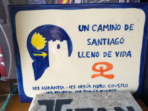 Imagen 5