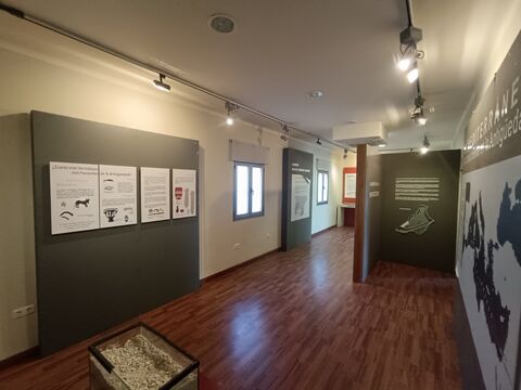 Centro de Interpretación de las Culturas del Mediterráneo - Domingo Salas Rodríguez -