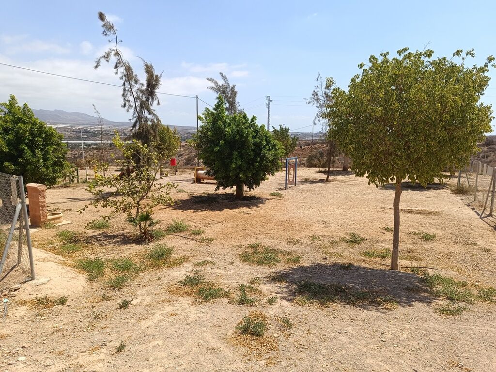 Parque canino