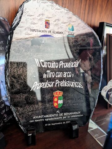 Imagen 19