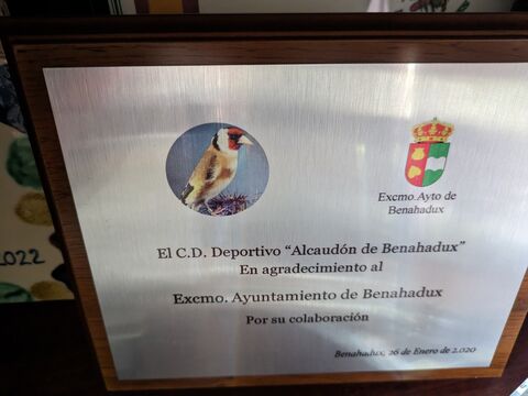 Imagen 11