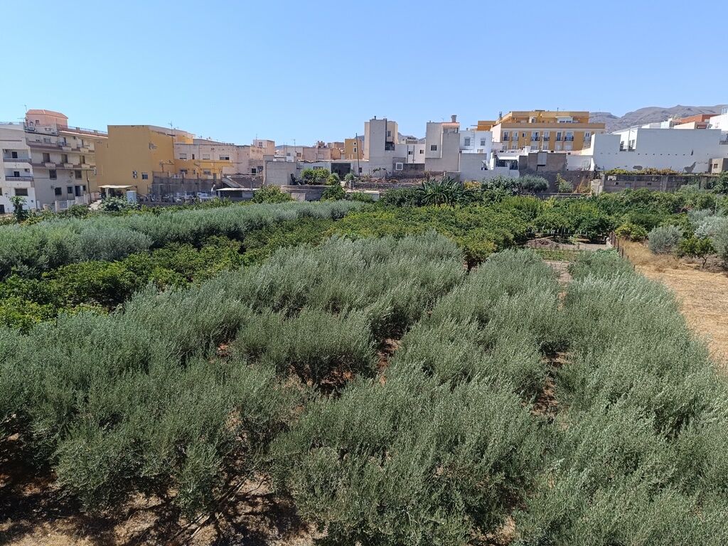 Vista del bien